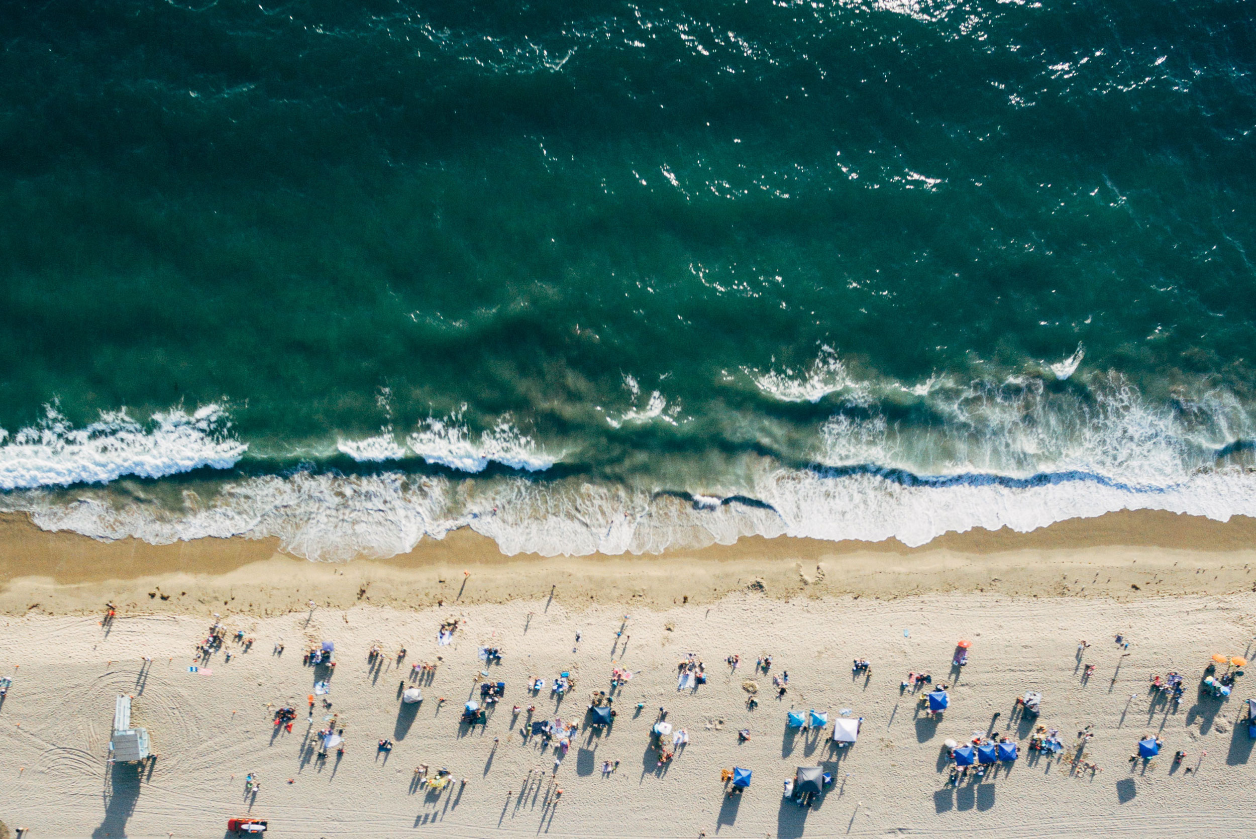 The Innate Group Pandemic Support